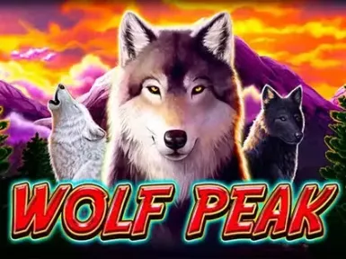 Fabulous Bingo screenshot